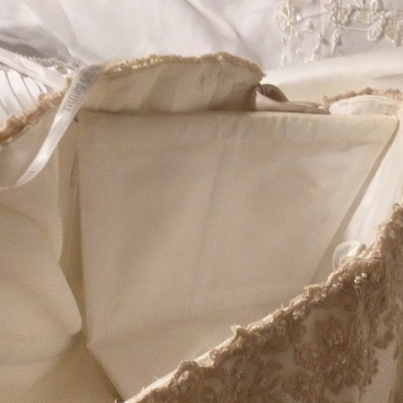 David’s Bridal Ivory & Champagne with lace and sequins 16w - Picture 12 of 13